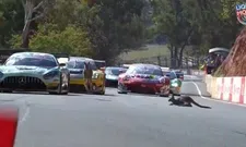 Thumbnail for article: Kangaroos on the track and massive crashes at Bathurst 12 Hour qualifying!