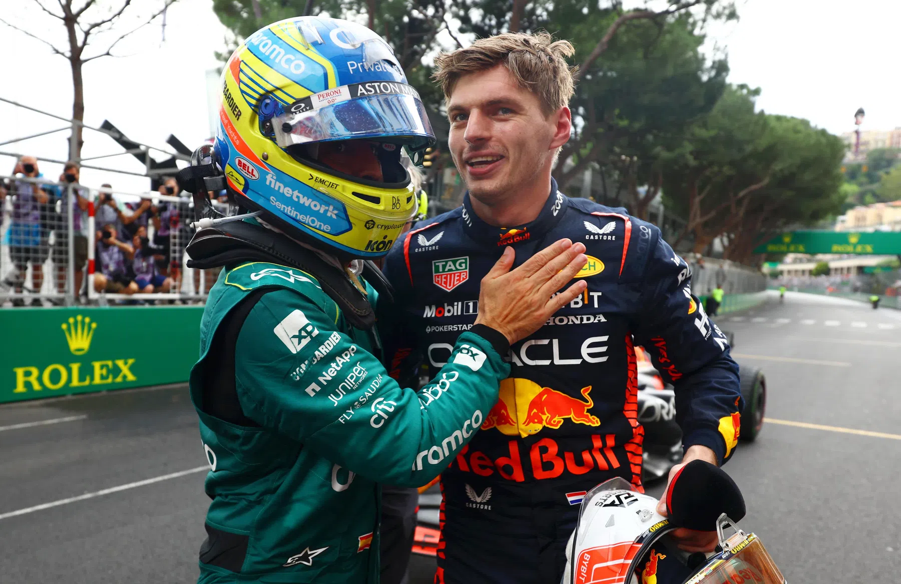 teammate max verstappen red bull racing