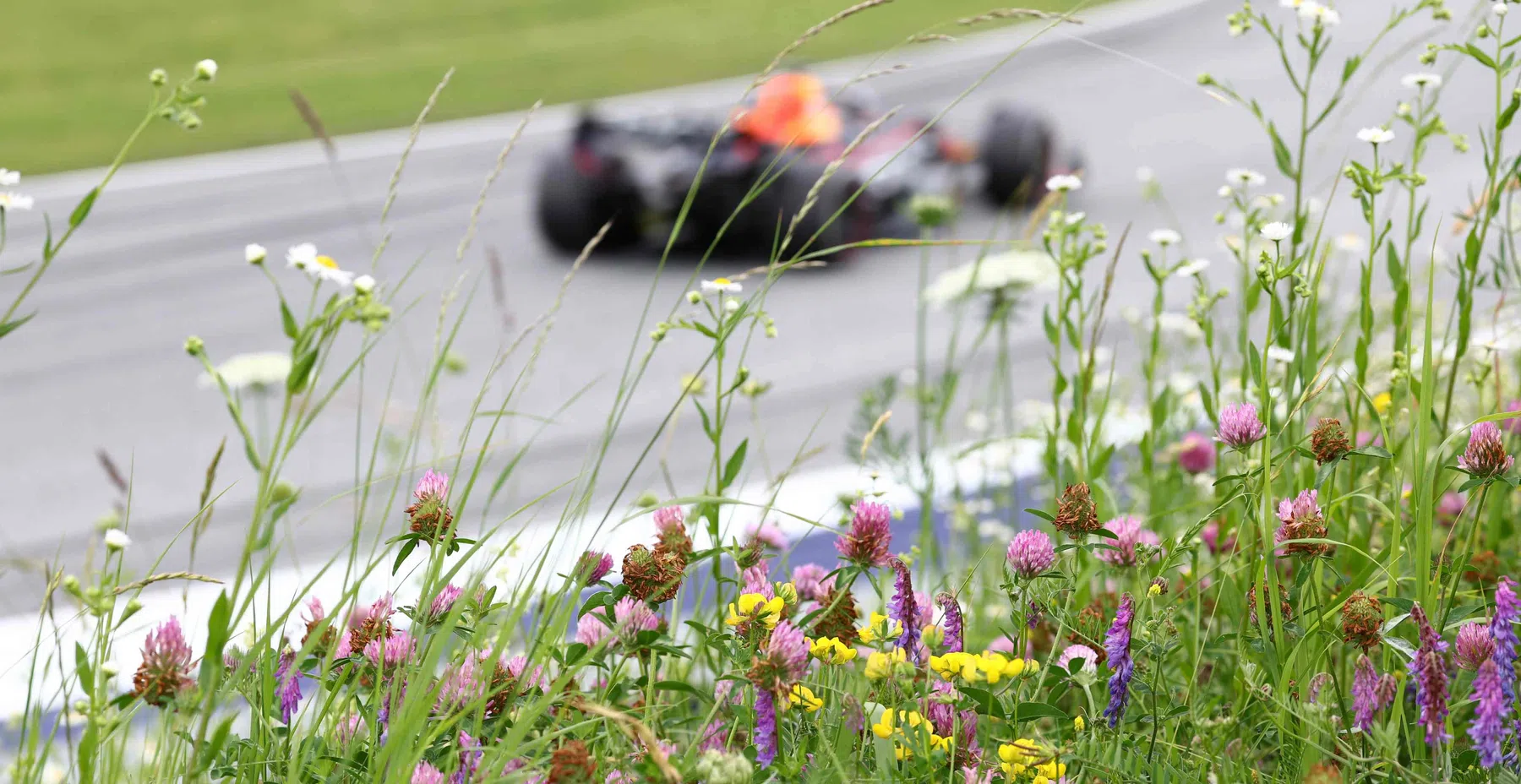 Sprint race Austria has one grid change Albon from pitlane